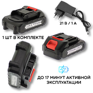 Автомойка аккумуляторная высокого давления в кейсе TITAVIN TI-HCW001